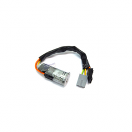 Canhão de Ignição REN030001